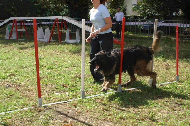 foire-haricots 2011-09-17et18